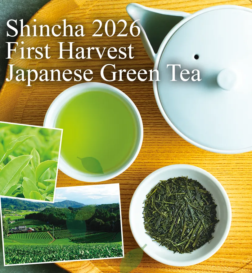 Shincha New Harvest Japanese Green Tea 2026